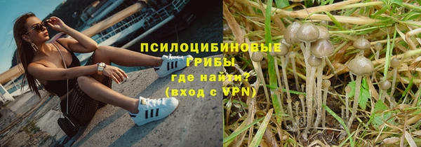 ешки Верхний Тагил