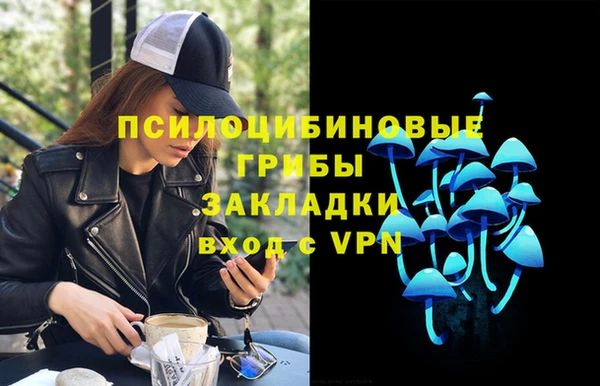 ешки Верхний Тагил