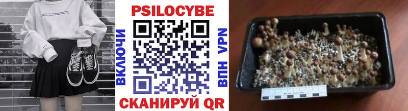 Псилоцибиновые грибы прущие грибы  маркетплейс какой сайт  Вичуга 